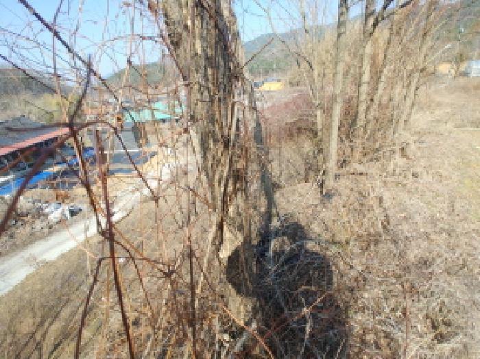 2025타경502032 법원경매 사진49 | 충남 금산군 전 경매