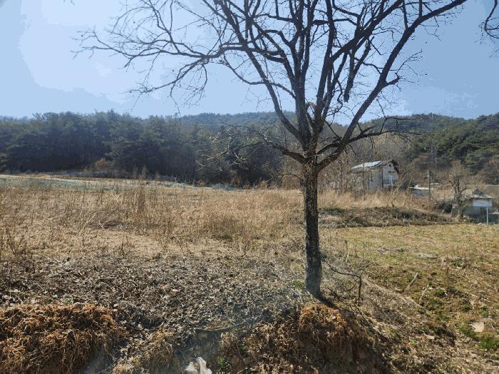 2025타경502032 법원경매 사진7 | 충남 금산군 전 경매