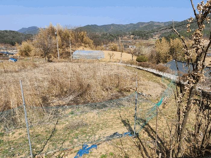 2025타경502032 법원경매 사진8 | 충남 금산군 전 경매