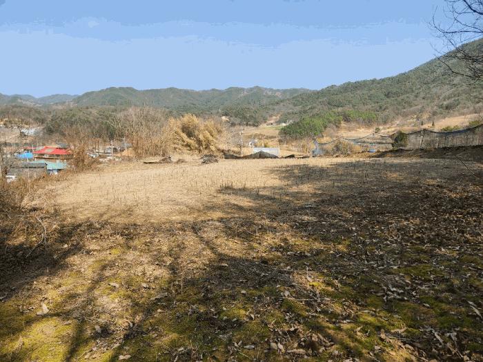 2025타경502032 법원경매 사진4 | 충남 금산군 전 경매