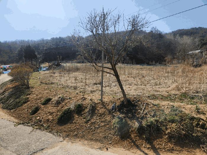 충청남도 금산군 남일면 신정리 624 법원경매 물건 대표사진