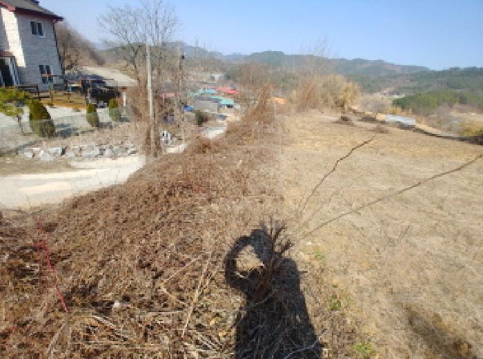 2025타경502032 법원경매 사진33 | 충남 금산군 답 경매