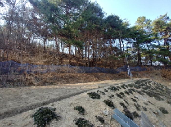 2025타경502032 법원경매 사진44 | 충남 금산군 답 경매