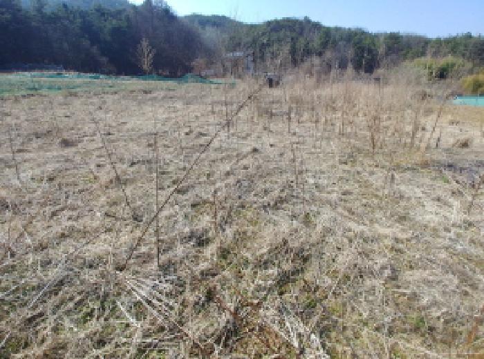 2025타경502032 법원경매 사진52 | 충남 금산군 답 경매