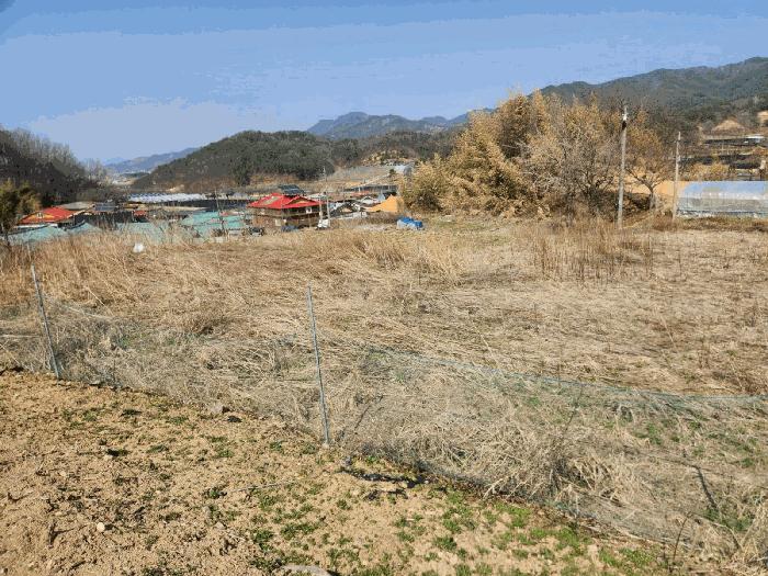 2025타경502032 법원경매 사진6 | 충남 금산군 답 경매