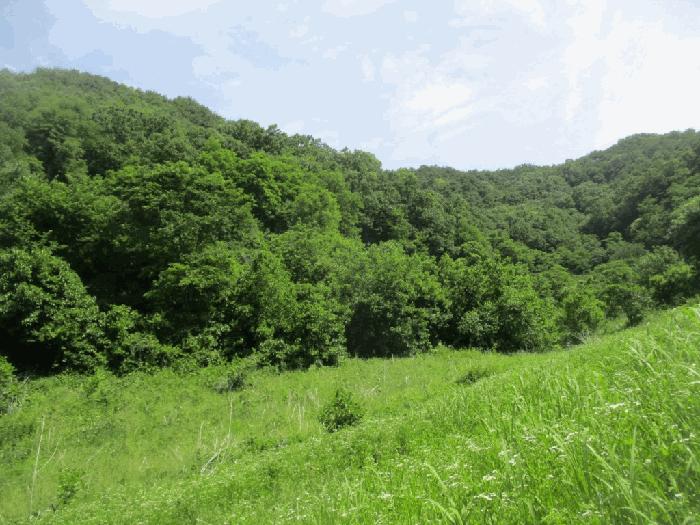 충청남도 금산군 복수면 용진리 209 법원경매 물건 대표사진