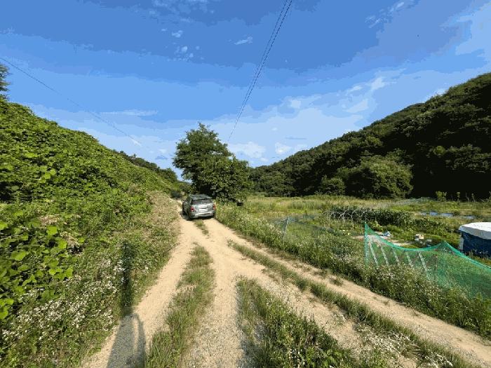 2025타경502787 법원경매 사진2 | 세종 조치원읍 답 경매