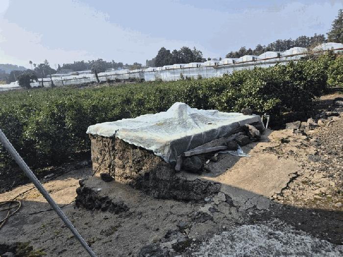 2025타경1096 법원경매 사진3 | 제주 서귀포시 과수원 경매