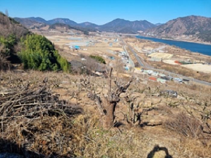 2025타경194 법원경매 사진15 | 창원 의창구 전 경매