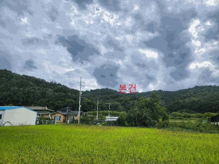 경상북도 고령군 덕곡면 후암리 산40-2 법원경매 물건 대표사진