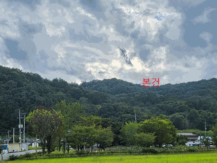 법원경매 2025타경31712 사진2 | 고령군 덕곡면 후암리 임야 경매