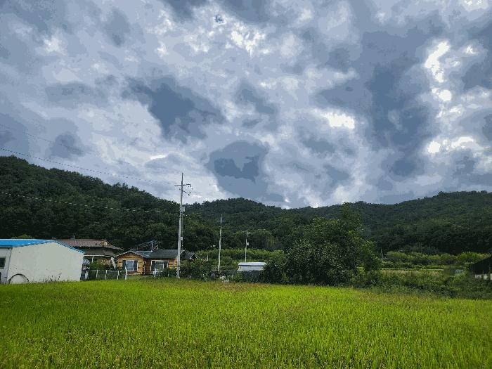 법원경매 2025타경31712 사진5 | 고령군 덕곡면 후암리 임야 경매