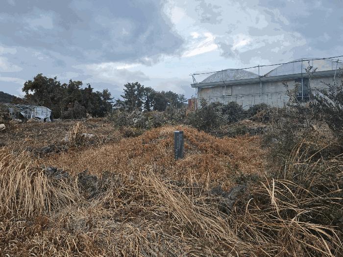 2025타경7470 법원경매 사진7 | 제주 서귀포시 과수원 경매