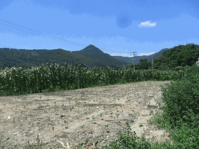 경상남도 김해시 대동면 주동리 999-18 법원경매 물건 대표사진