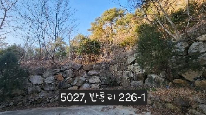 법원경매 2025타경5027 사진10 | 부산 기장군 장안읍 임야 경매