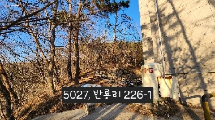 법원경매 2025타경5027 사진11 | 부산 기장군 장안읍 임야 경매