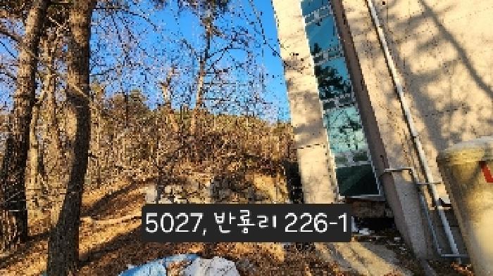 법원경매 2025타경5027 사진12 | 부산 기장군 장안읍 임야 경매