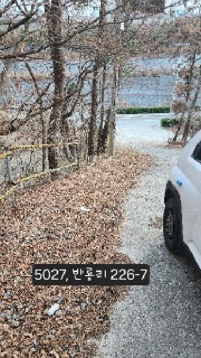 법원경매 2025타경5027 사진13 | 부산 기장군 장안읍 임야 경매