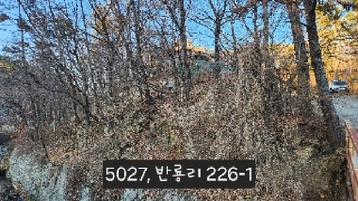 법원경매 2025타경5027 사진15 | 부산 기장군 장안읍 임야 경매