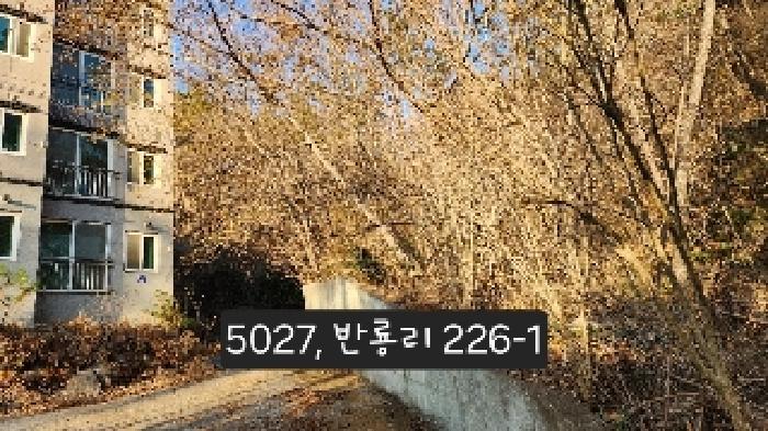 법원경매 2025타경5027 사진16 | 부산 기장군 장안읍 임야 경매