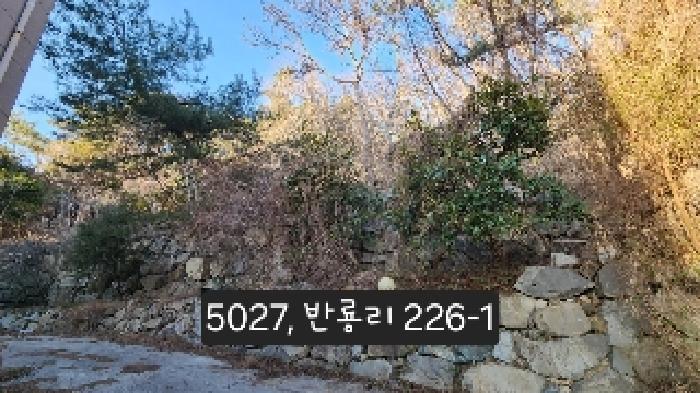 법원경매 2025타경5027 사진17 | 부산 기장군 장안읍 임야 경매