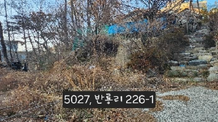 법원경매 2025타경5027 사진19 | 부산 기장군 장안읍 임야 경매