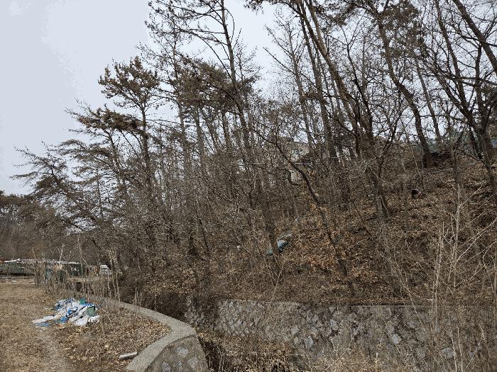 법원경매 2025타경5027 사진3 | 부산 기장군 장안읍 임야 경매