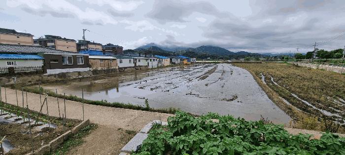 2025타경15730 법원경매 사진2 | 충남 홍성군 답 경매