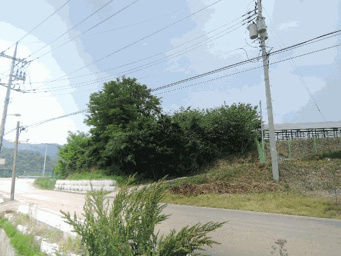 2025타경15744 법원경매 사진4 | 충남 예산군 전 경매