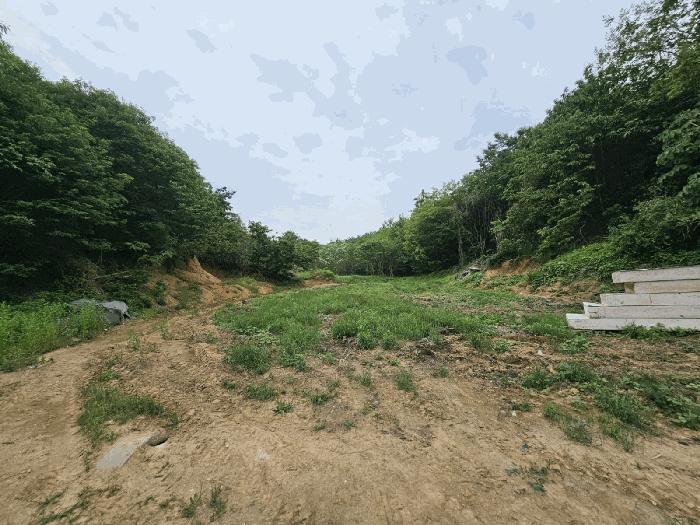 법원경매 2025타경627 사진10 | 평택시 지산동 산73-3 임야 경매