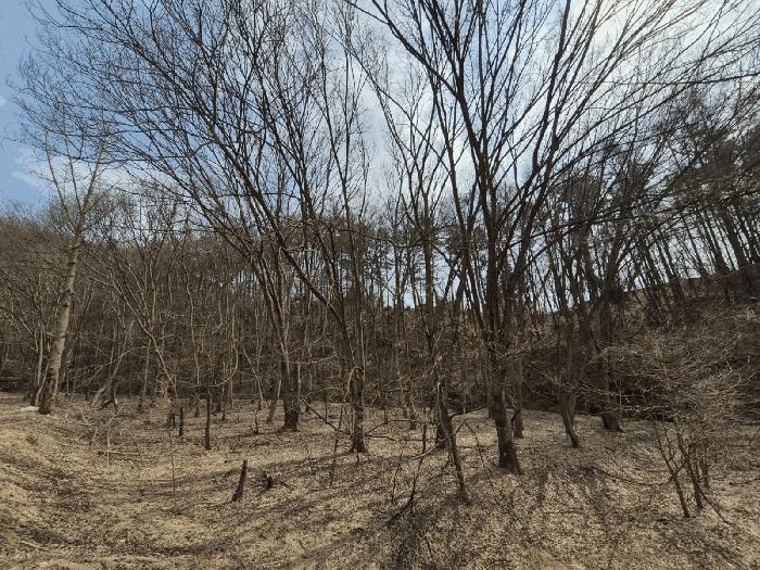법원경매 2025타경41328 사진2 | 안성시 고삼면 가유리 110 답 경매