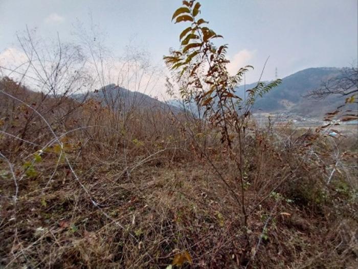 2024타경1424 법원경매 사진3 | 충남 공주시 전 경매