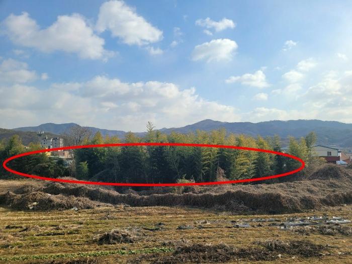 2024타경22490 법원경매 사진2 | 충남 공주시 임야 경매