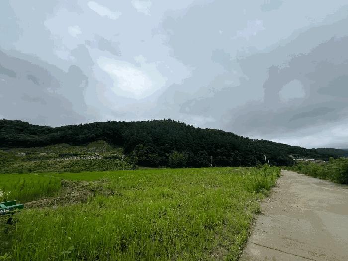 경기도 양평군 옥천면 신복리 산3 법원경매 물건 대표사진