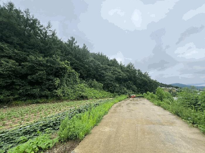 법원경매 2024타경36539 사진2 | 양평군 옥천면 신복리 임야 경매