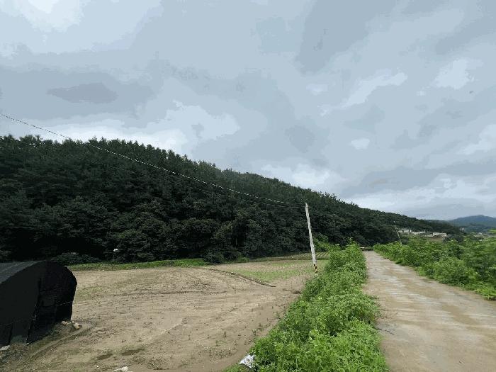 법원경매 2024타경36539 사진3 | 양평군 옥천면 신복리 임야 경매