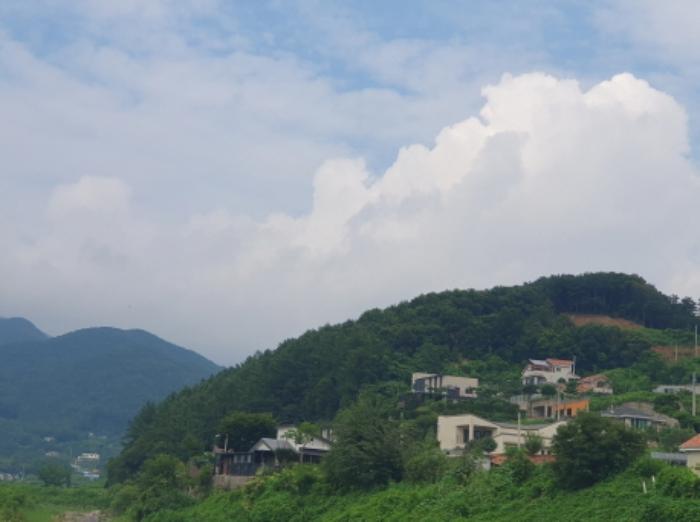 법원경매 2024타경36539 사진4 | 양평군 옥천면 신복리 임야 경매