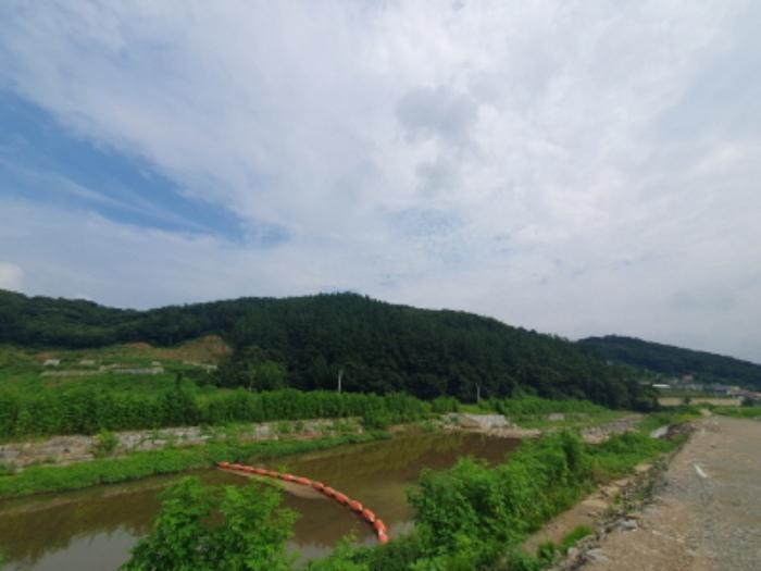 법원경매 2024타경36539 사진5 | 양평군 옥천면 신복리 임야 경매