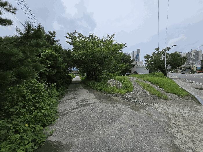 2024타경36904 법원경매 사진2 | 경기 양평군 대지 경매