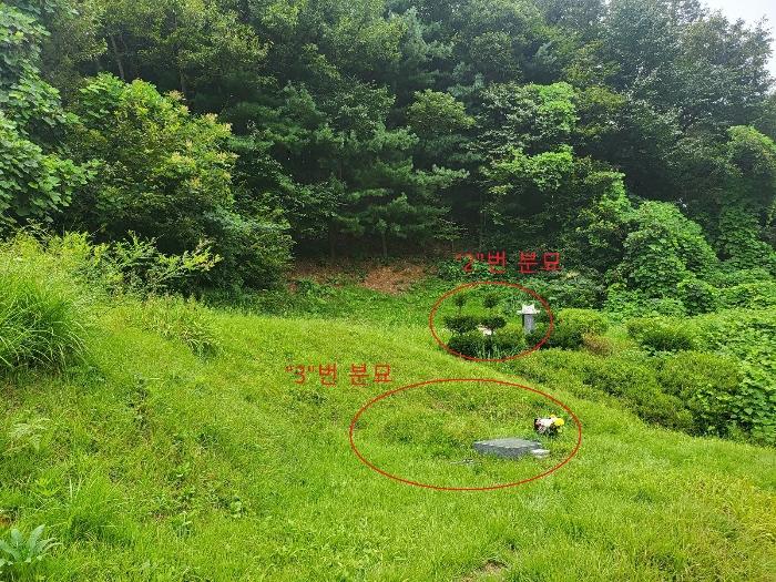 법원경매 2024타경38245 사진3 | 양평군 옥천면 신복리 1085 전답 경매