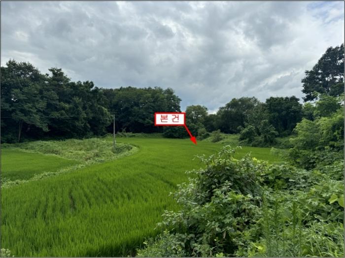 경기도 여주시 대신면 하림리 590-1 법원경매 물건 대표사진