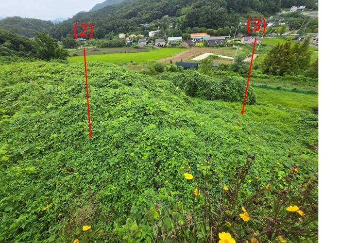 2024타경37440 법원경매 사진3 | 경기 양평군 창고용지 경매
