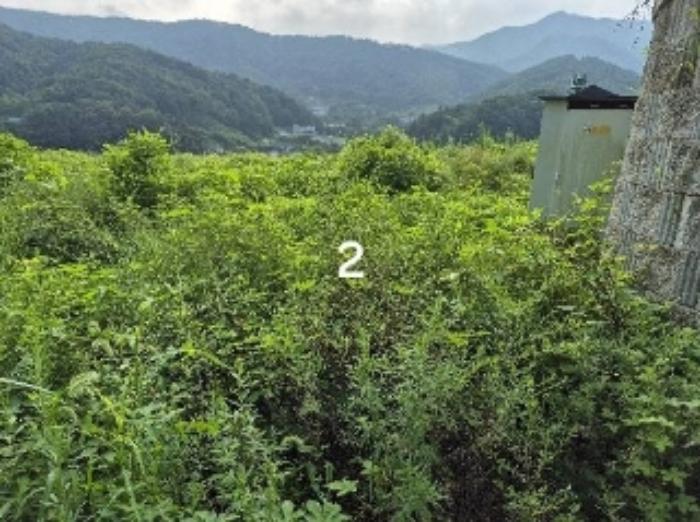 2024타경37440 법원경매 사진9 | 경기 양평군 창고용지 경매