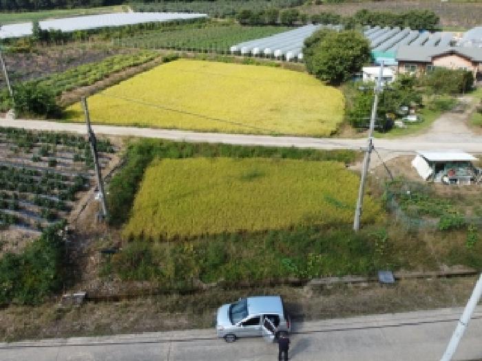 2025타경4698 법원경매 사진4 | 충북 보은군 답 경매
