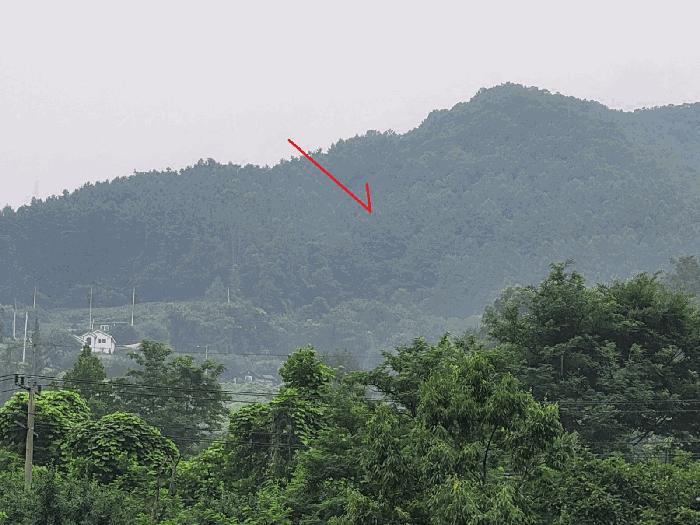 법원경매 2025타경71872 사진2 | 가평군 상면 덕현리 임야 경매