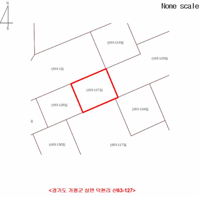 법원경매 2025타경71872 사진9 | 가평군 상면 덕현리 임야 경매