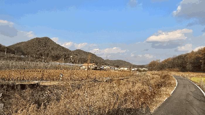 충청북도 보은군 산외면 산대리 222-1 법원경매 물건 대표사진