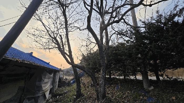 2025타경51839 법원경매 사진11 | 충북 보은군 주택건물 경매