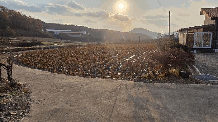 2025타경51839 법원경매 사진2 | 충북 보은군 주택건물 경매