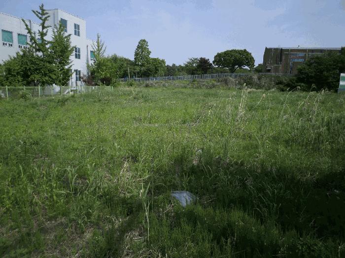 충청남도 천안시 서북구 신당동 441-1 법원경매 물건 대표사진